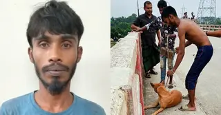 কুকুরের গলায় ইট বেঁধে নদীতে নিক্ষেপ, অতঃপর যা ঘটলো